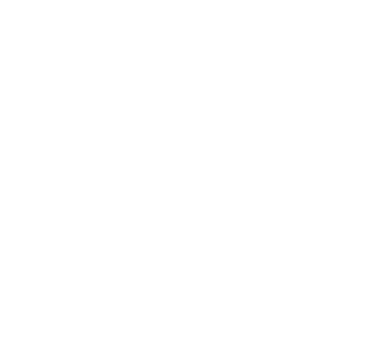 Wally Remodeling Inc.